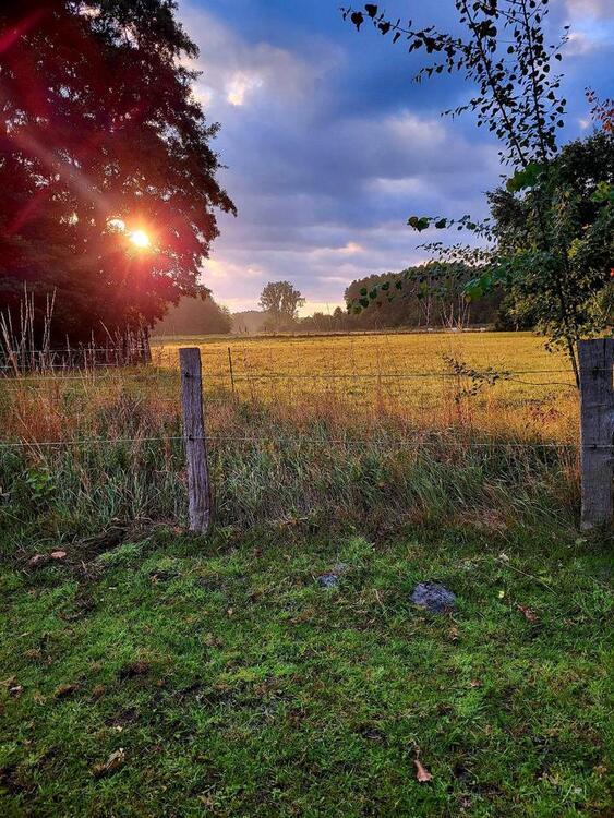 Thumbnail-Ferienwohnung in Suderburg