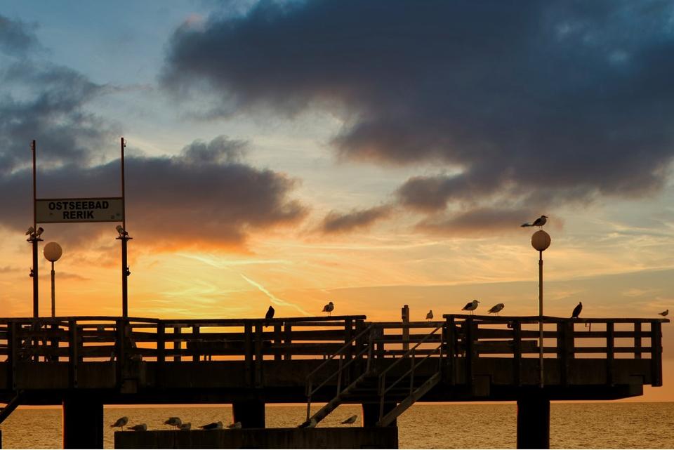 Thumbnail-Connies Ferienwohnung, Ostseeurlaub in Rerik, Hunde erlaubt