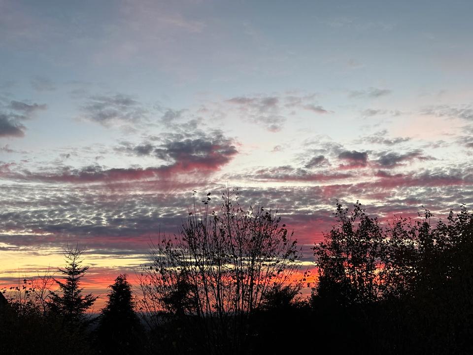 Thumbnail-Gemütliche Wohnung in TOP LAGE von Oerlinghausen 3 ZKBB TG