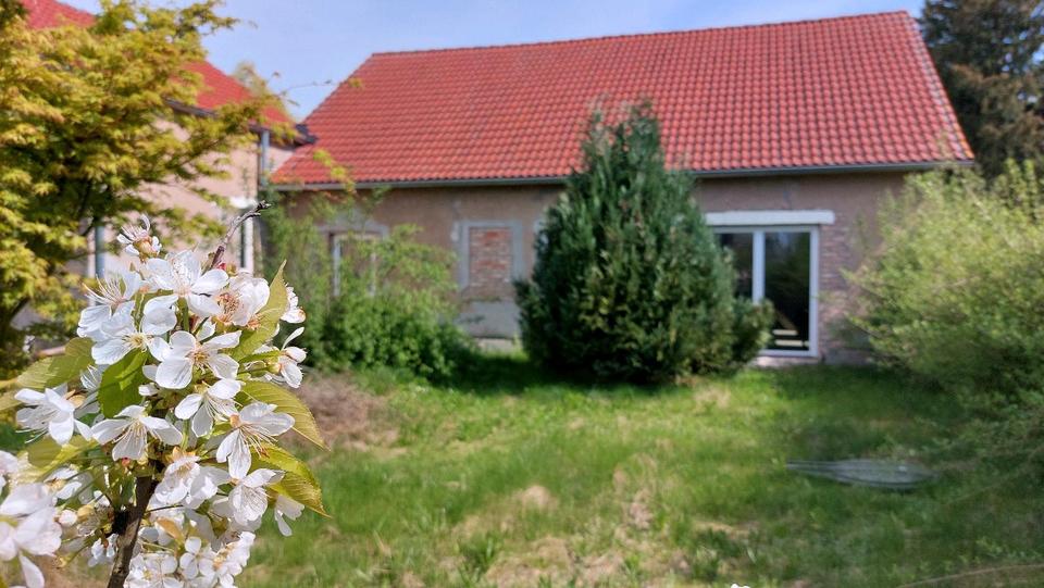 Thumbnail-Hausprojekt im Oderbruch – naturnah wohnen mit Potenzial!