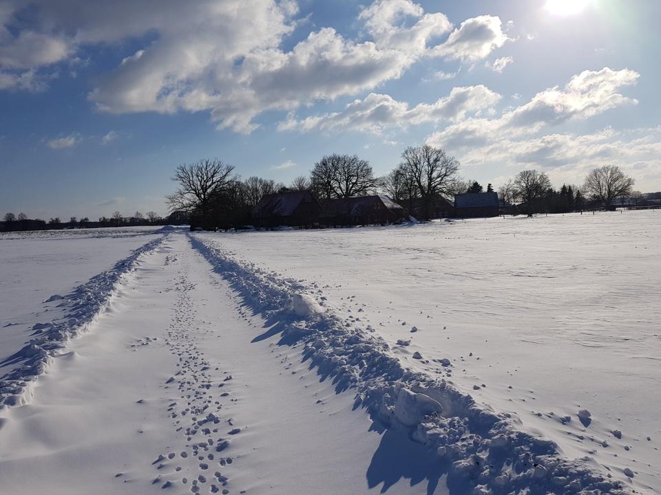 Thumbnail-Ferienwohnung 