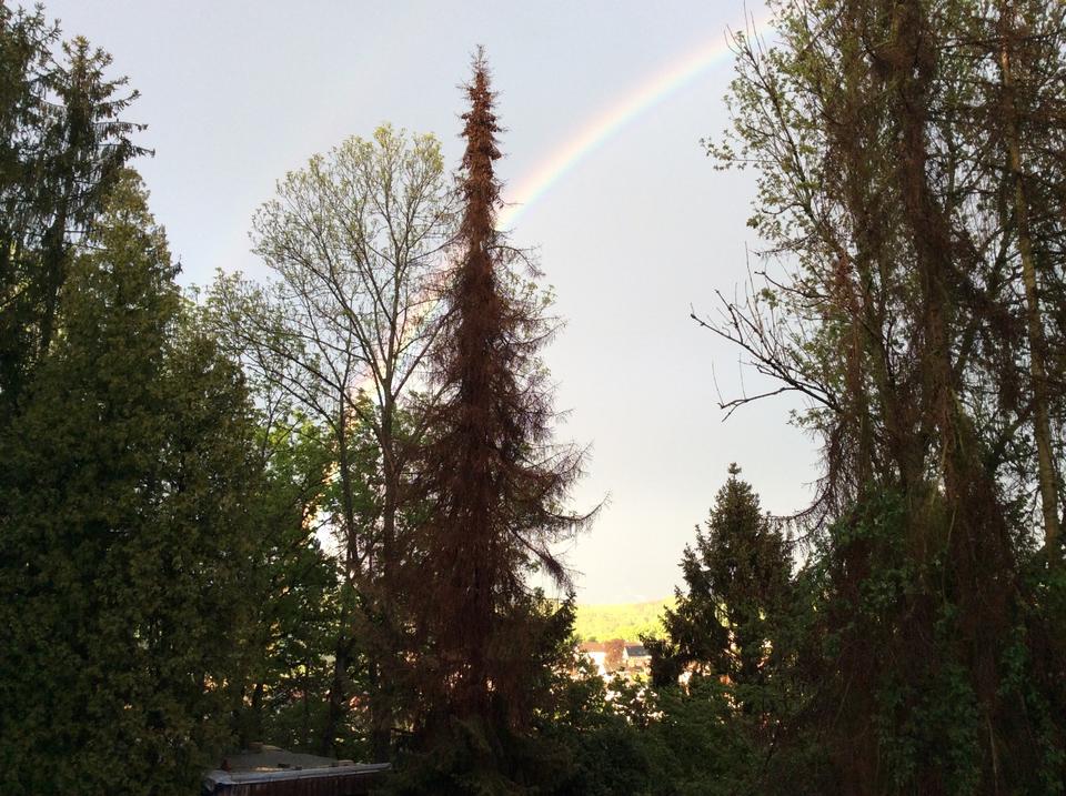 Thumbnail-1Fam. Haus, Hagen mit Baugrundstück