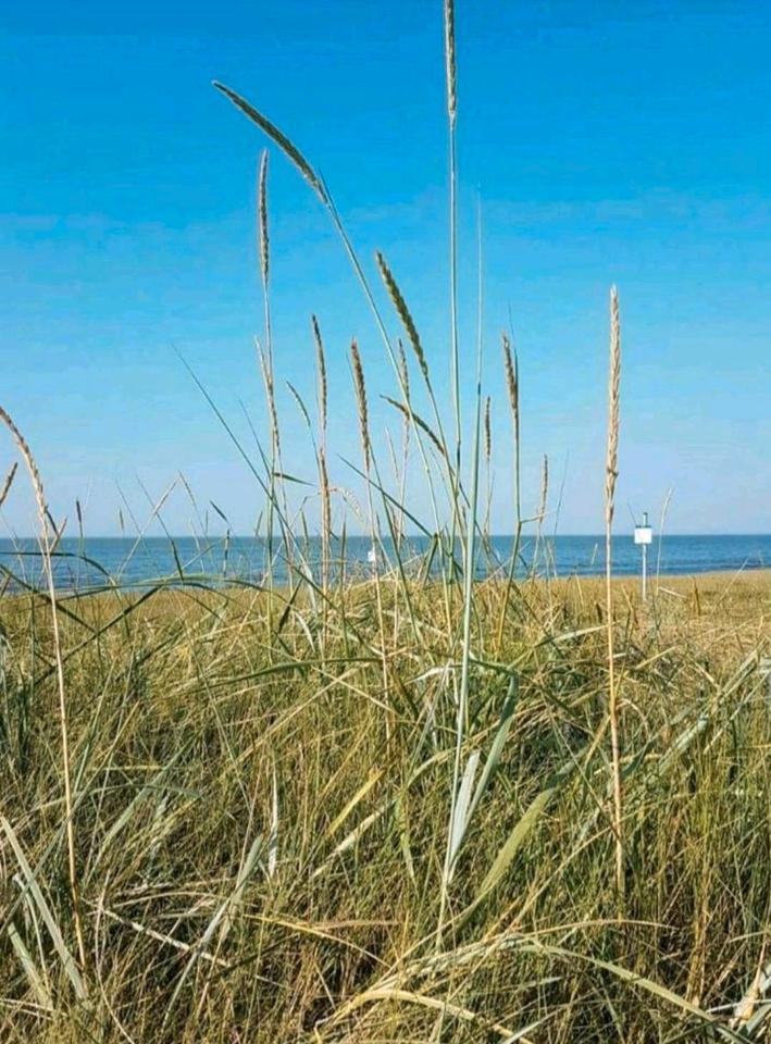 Thumbnail-Ferienwohnung Nordseeküste Friesland Wangerland Minsen