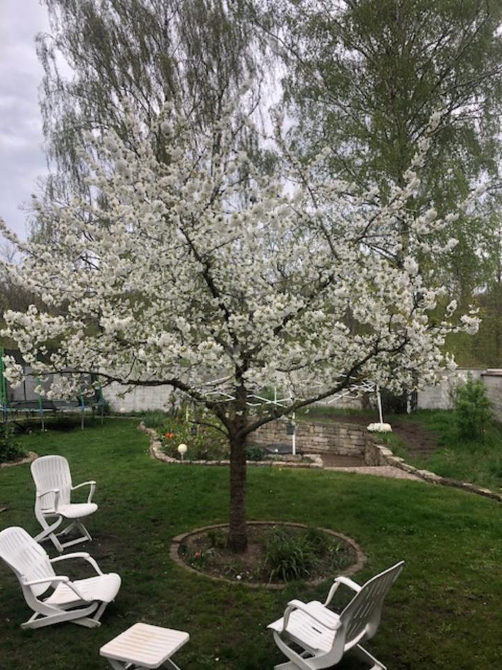 Thumbnail-Doppelhaushälfte Hannover-Misburg (Erbpachtgrundstück)