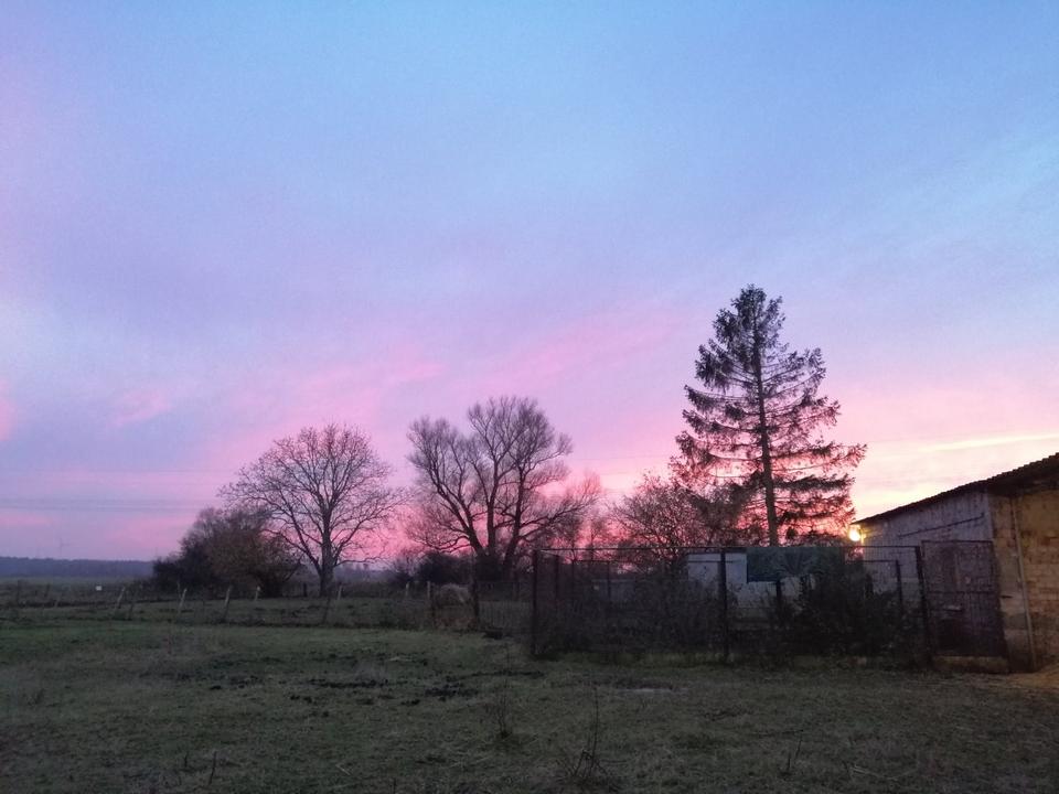 Thumbnail-Einfamilienhaus in Boddennähe