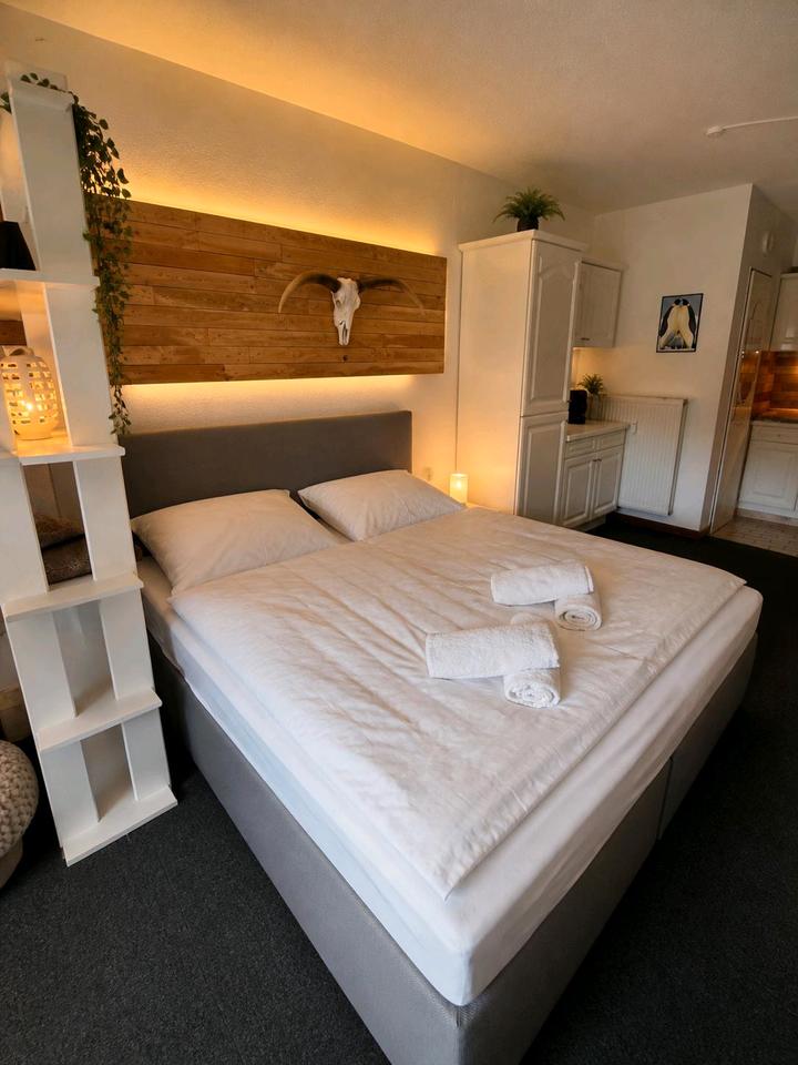 Thumbnail-Ferienwohnung Willingen-Schwalefeld (in ruhiger Lage)