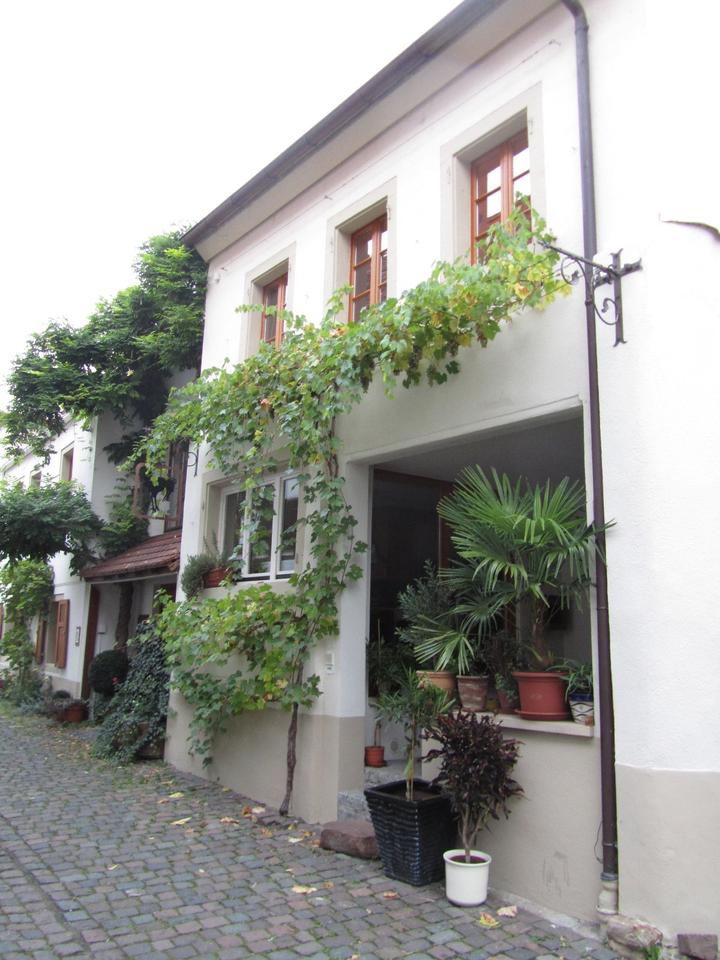 Thumbnail-Altstadt Freinsheim: Individuelles Lofthaus über 3 Wohnebenen