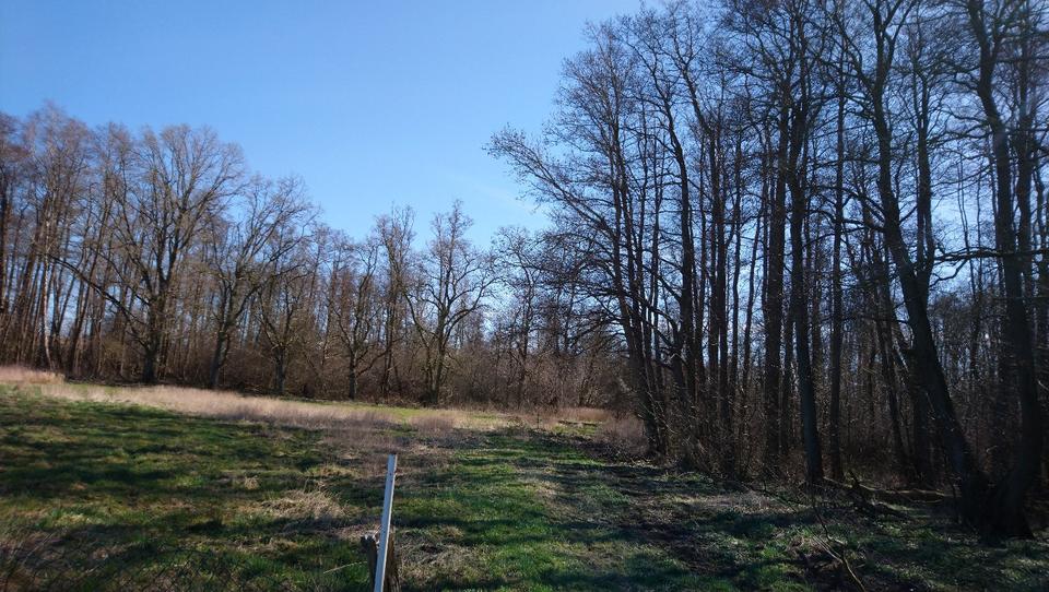 Thumbnail-Großzügiges Grundstück auf Rügen zu verkaufen