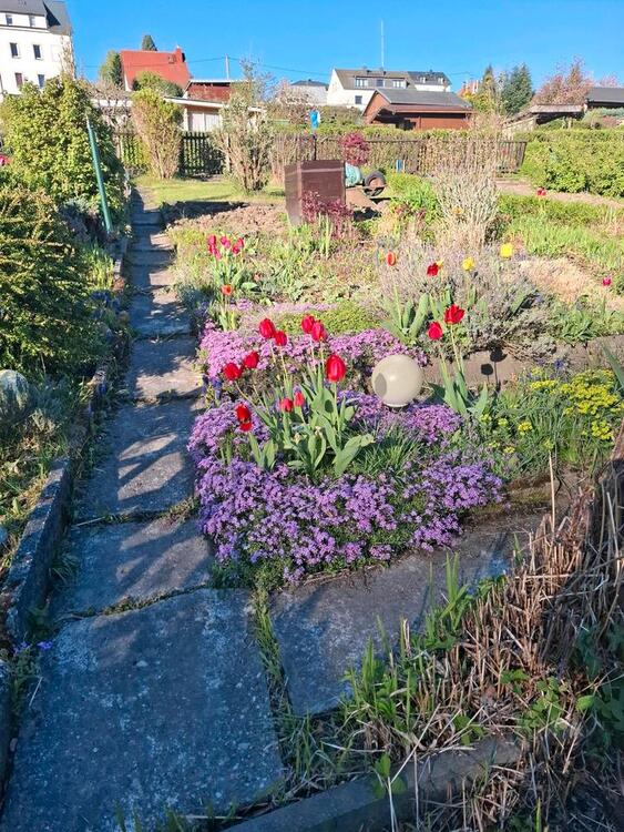 Thumbnail-Garten zum abgeben