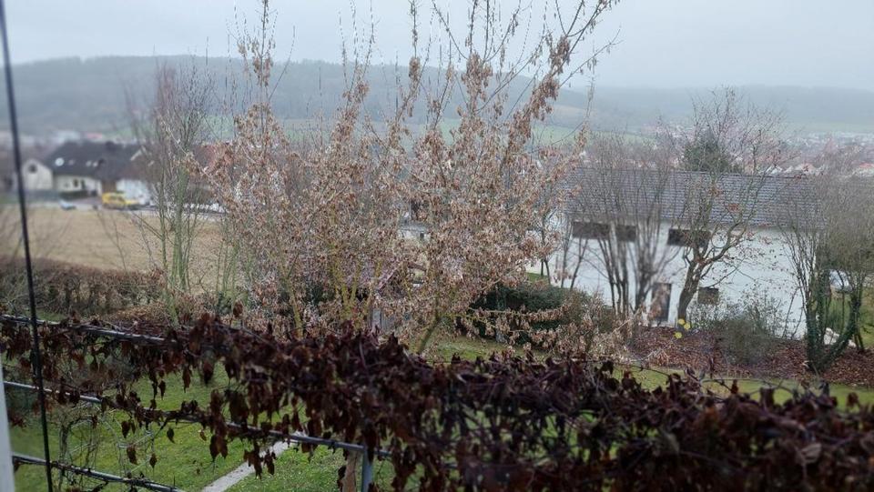 Thumbnail-Ferienwohnung