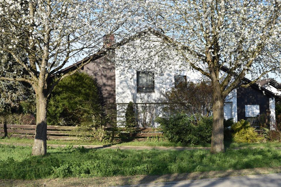 Thumbnail-Repräsentatives Einfamilienhaus in ruhiger Lage, Haus zum Kauf