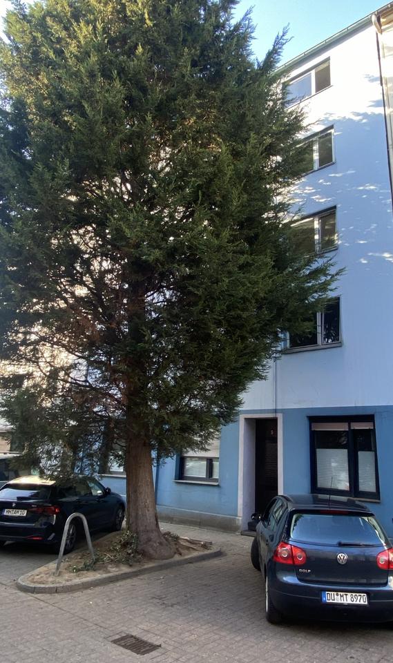 Thumbnail-Großzügige und helle Wohnung in verkehrsberuhigter Seitenstraße