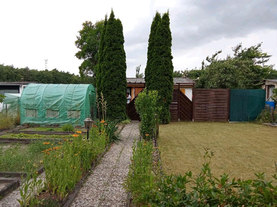 Thumbnail-Kleingarten Schrebergarten in Dannenbüttel