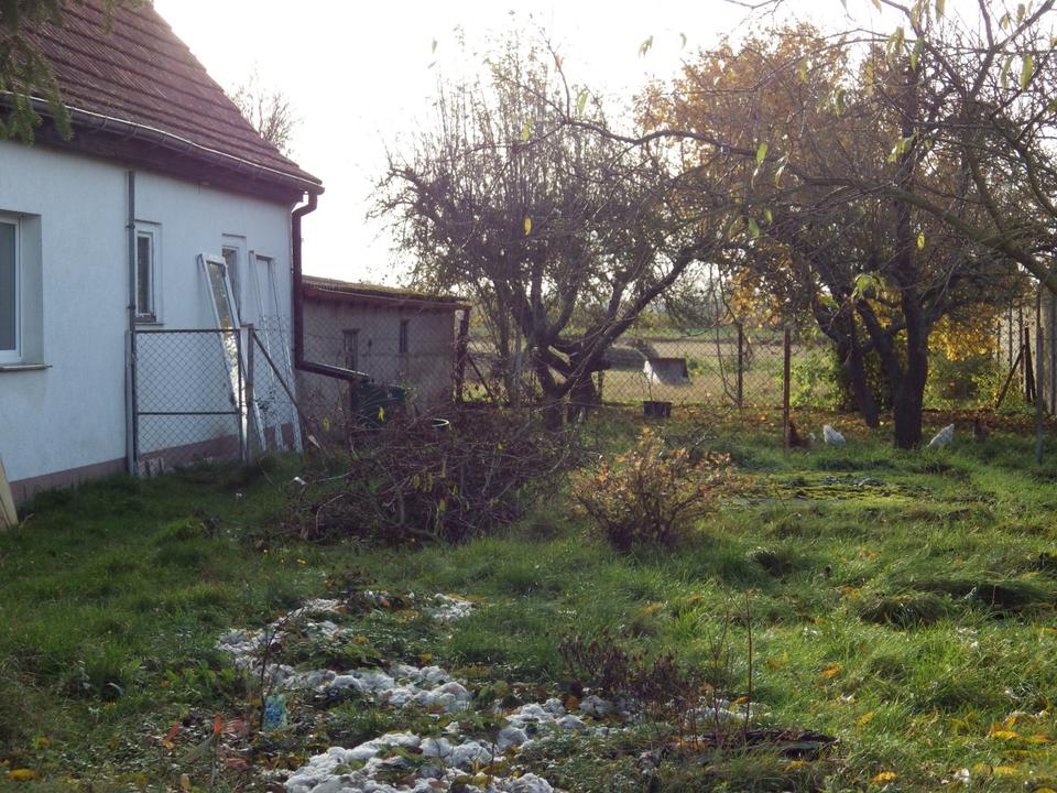 Thumbnail-Leben unter dem weiten Himmel des Oderbruchs