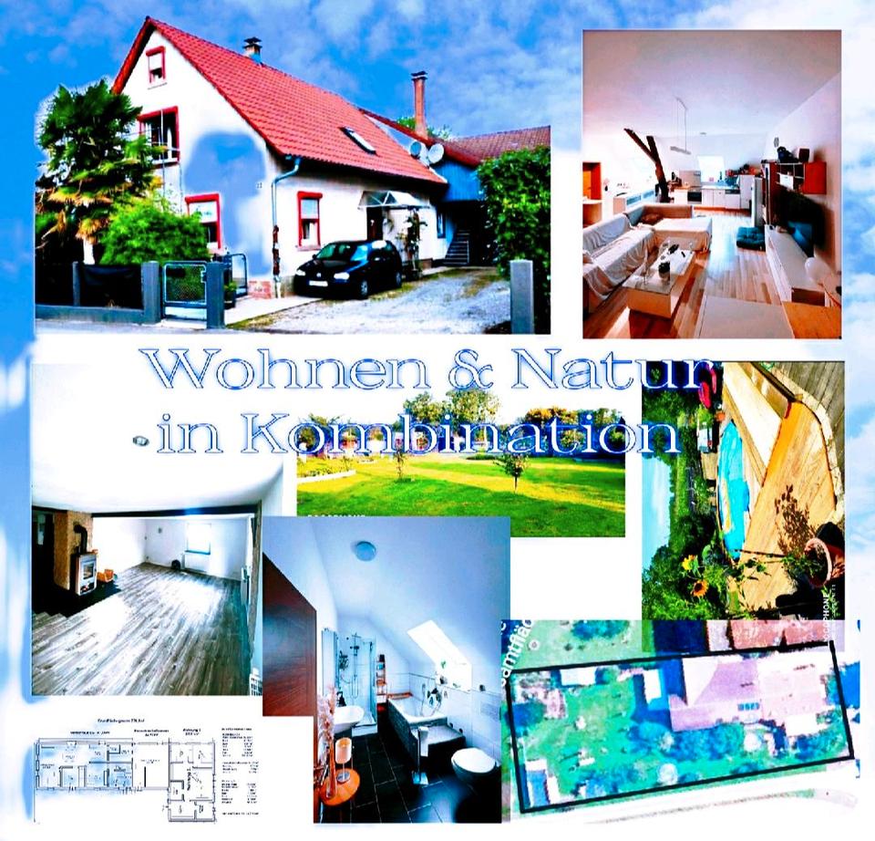 Thumbnail-Haus Mehrfamilienhaus 3 Wohneinheiten 342m² Wfl, 1800m² Grdst