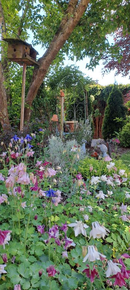 Thumbnail-Einfamilienhaus