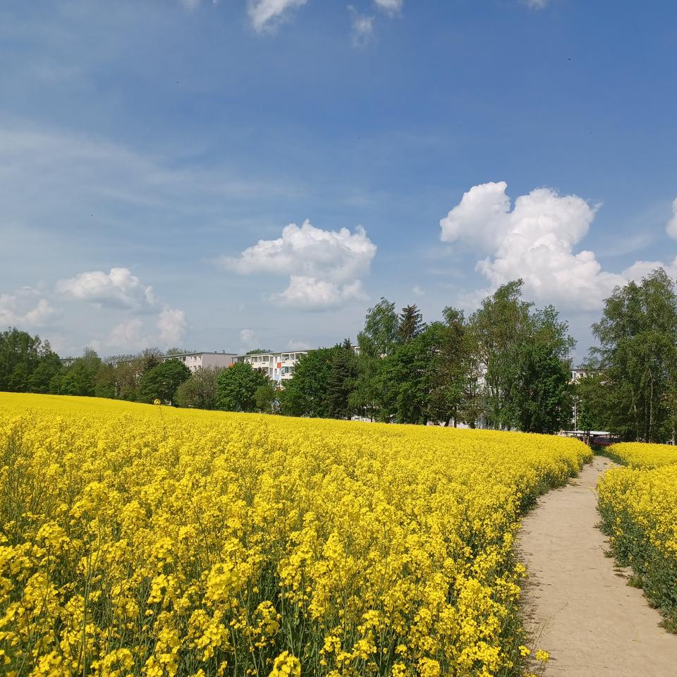 Thumbnail-2 Zimmer zum Glück!