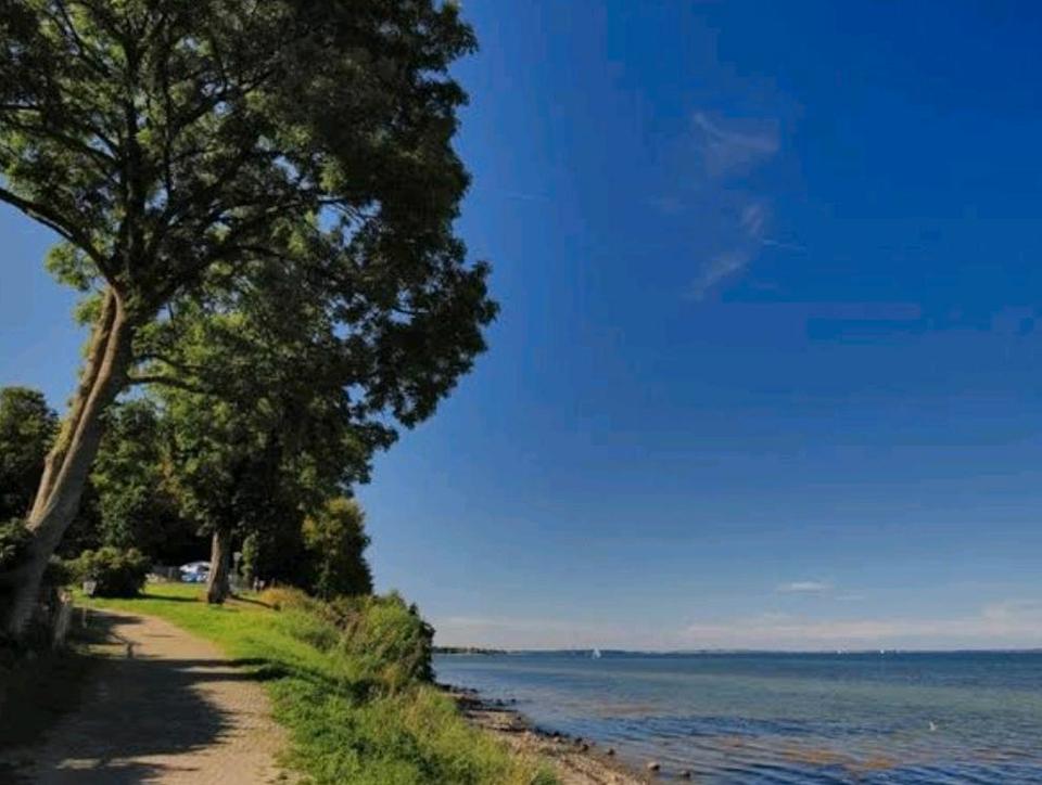 Thumbnail-3 Zimmer Erdgeschosswohnung