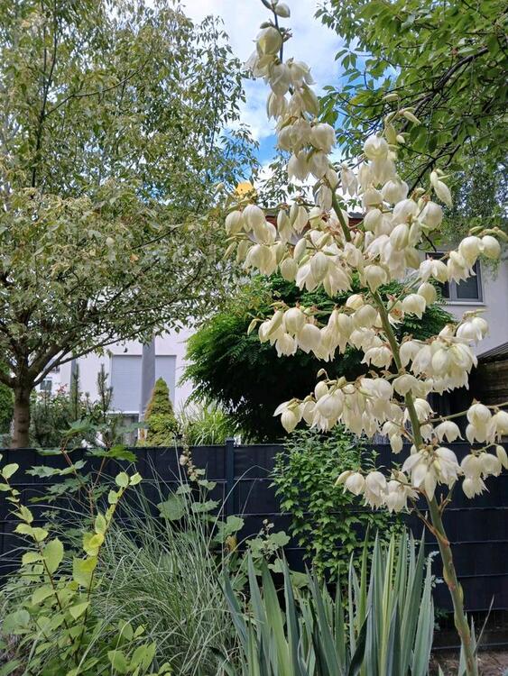 Thumbnail-Ein Haus zum Ankommen und Verlieben