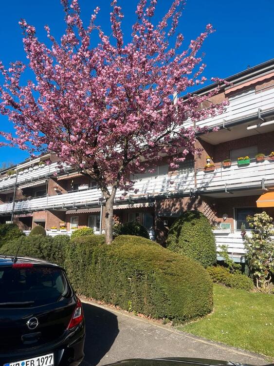 Thumbnail-Provisionsfreie Eigentumswohnung EGSackasse Krefeld Bockum