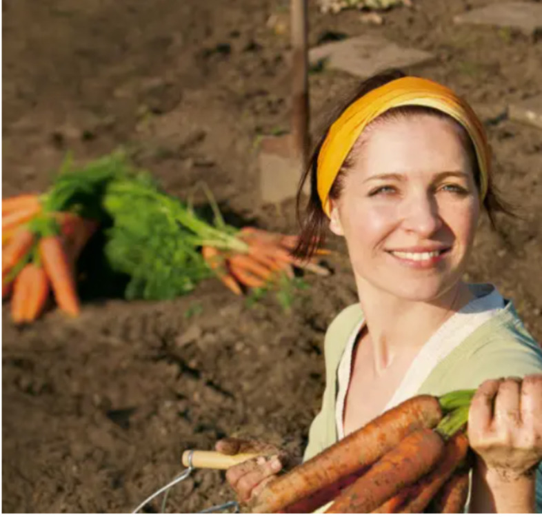 Thumbnail-Saisongarten Gemüsegarten in Dreieich-Götzenhain