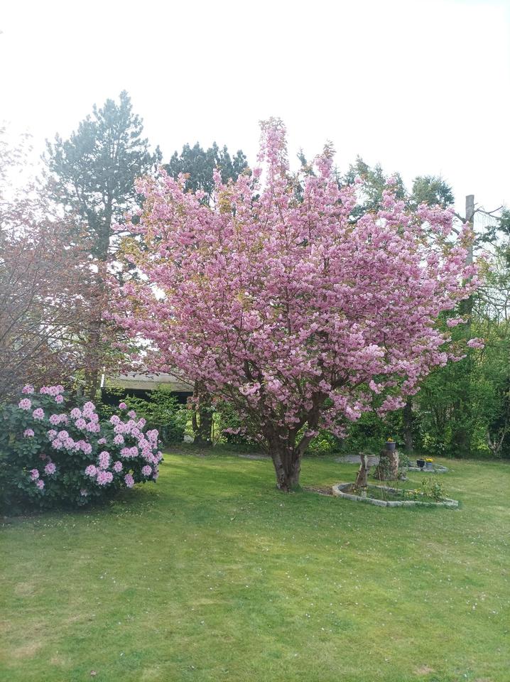 Thumbnail-Frisch renovierte Dachgeschoßwohnung mit Fußbodenheizung & Balkon