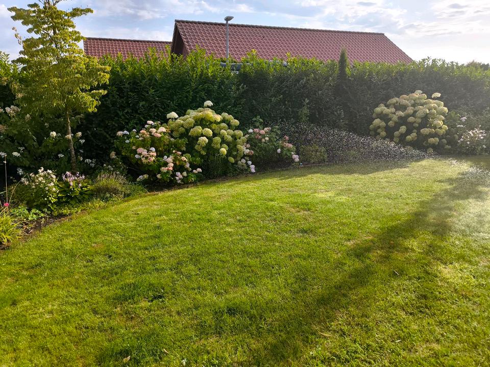 Thumbnail-* Provisionsfrei* Neuwertiger Energieeffizienter Bungalow