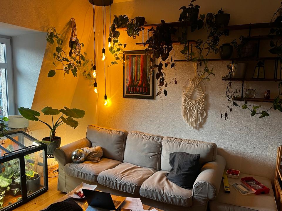 Thumbnail-Dachgeschoss Wohnung Dresden Neustadt Rudolfkiez ab Februar