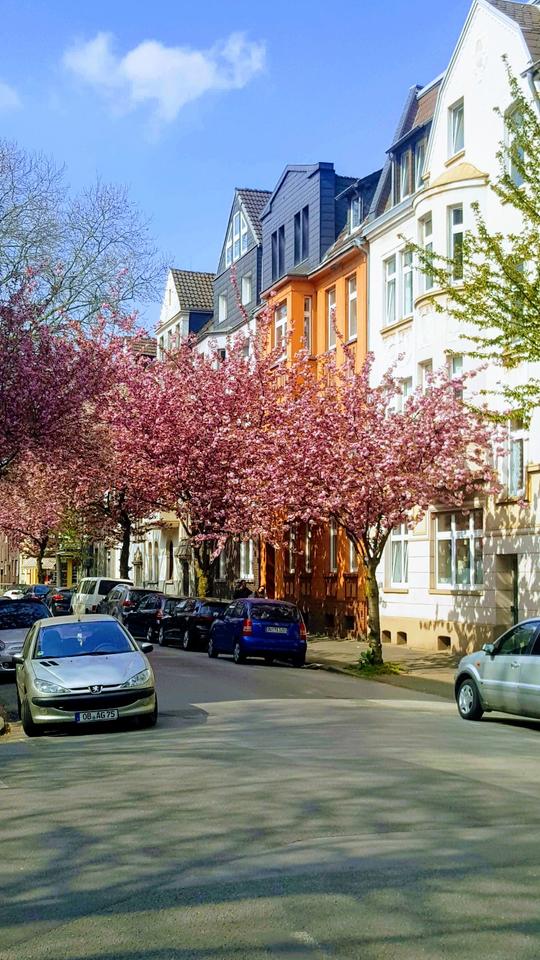 Thumbnail-Vermietete, modernisierte 1,5-Zimmer-Wohnung in Mittelmeiderich