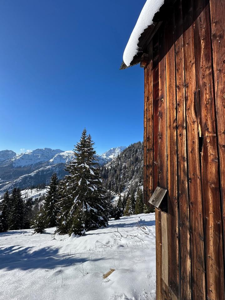 Thumbnail-Berghütte zu verkaufen in den Belluneser DOLOMITEN