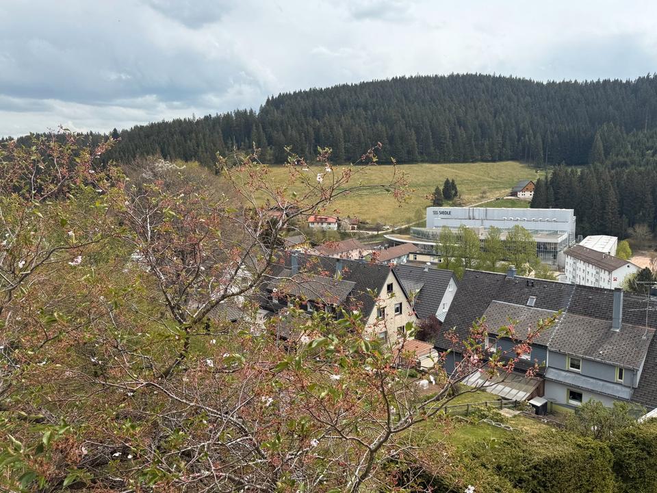 Thumbnail-3-Zimmer-Wohnung in Furtwangen