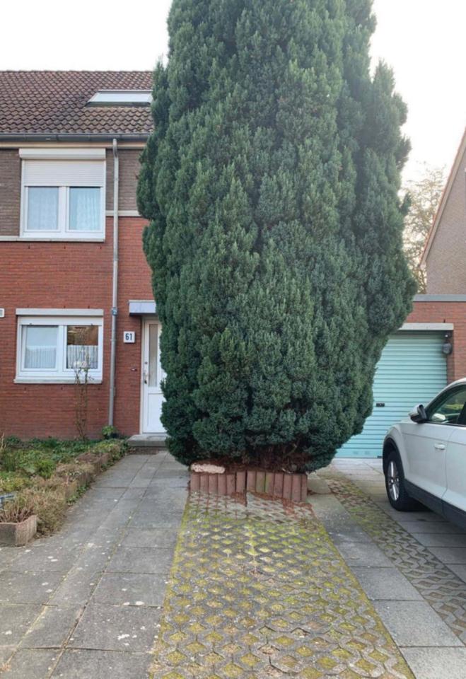 Thumbnail-Haus (Reihenendhaus) in Falkensee zu verkaufen von privat