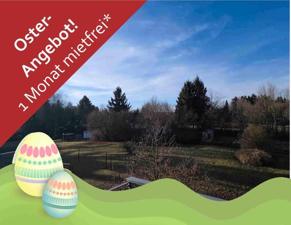 Thumbnail-+++ Schöne Singlewohnung mit Balkon und offener Küche +++