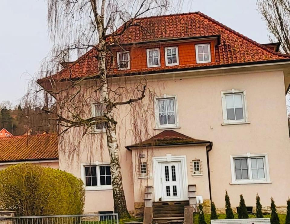 Thumbnail-Traumwohnung - neu renoviert!