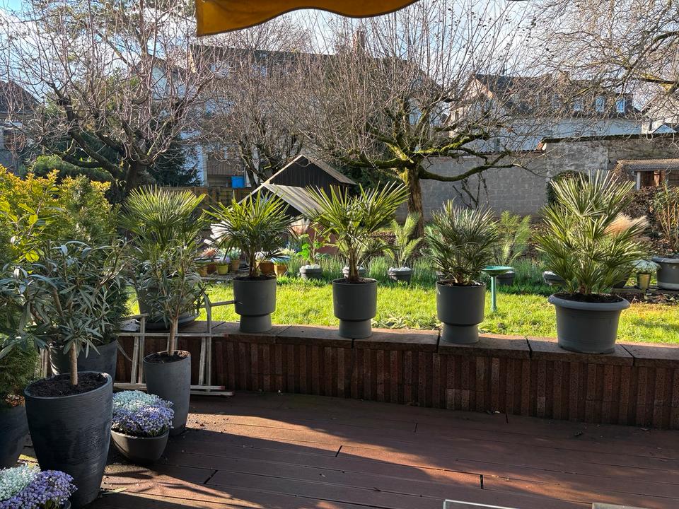 Thumbnail-3,5 Zimmer Eigentumswoh. zu verkauf. in Wiesbaden Bierst.v privat