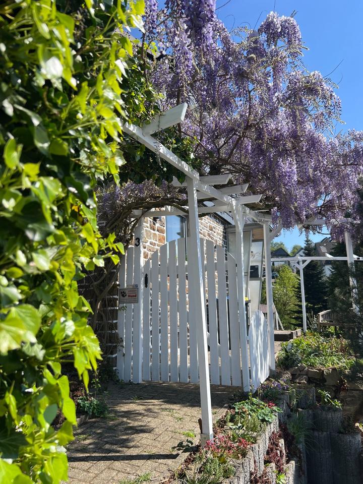 Thumbnail-Sanierte Doppelhaushälfte - direkt bezugsfähig