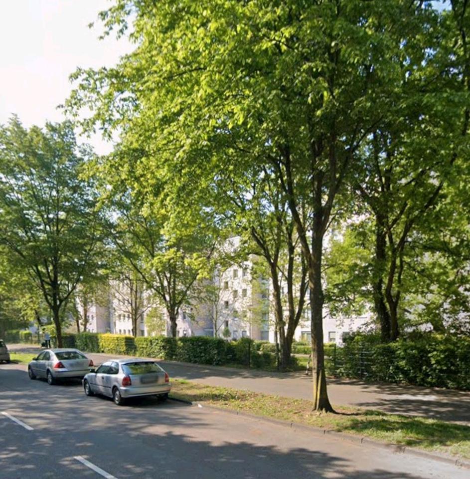 Thumbnail-Vermietung einer Wohnung