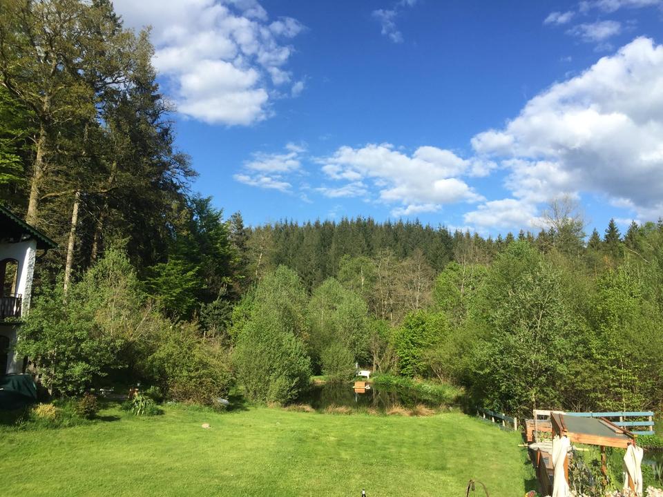 Thumbnail-2 Wochenendhäuser im Wald Nähe D-54411 Hermeskeil (Trier: 30 km)