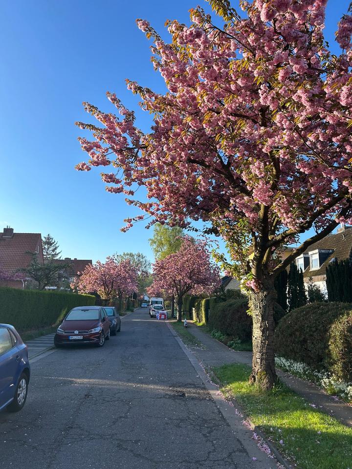 Thumbnail-2 befristete WG Zimmer mit ganzer Wohnung, gute S-Bahn Anbindung