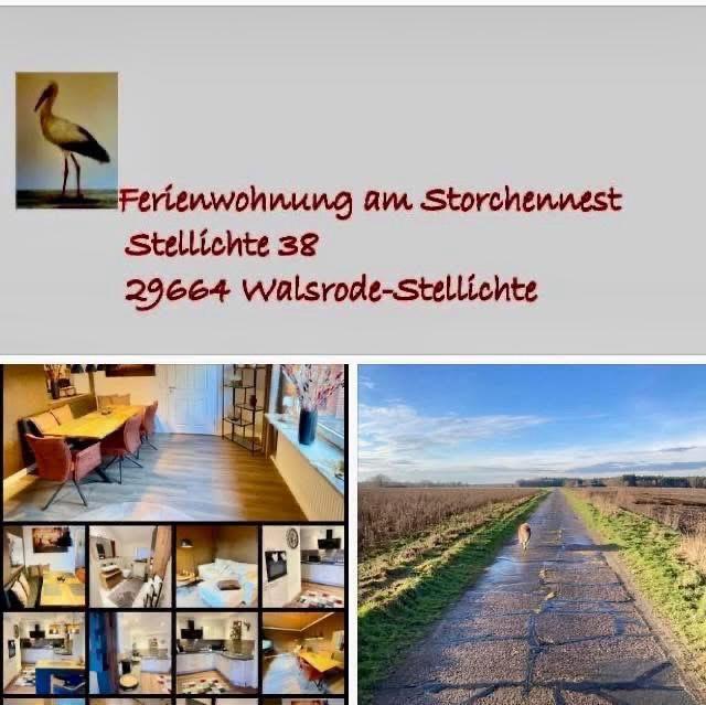 Thumbnail-Ferienwohnung- Pendlerwohnung - Urlaub - Heide