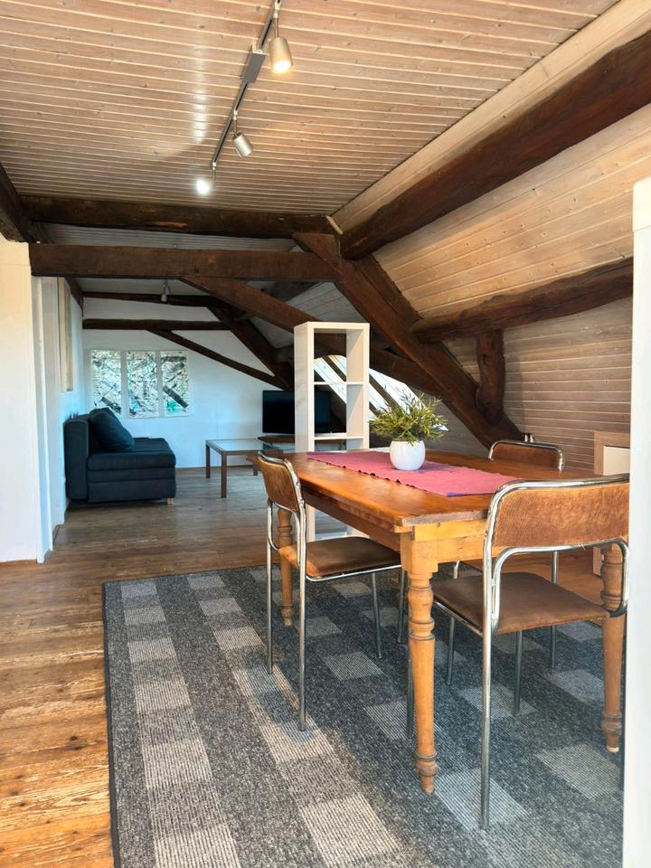 Thumbnail-Ferienwohnung Bliesgau Homburg
