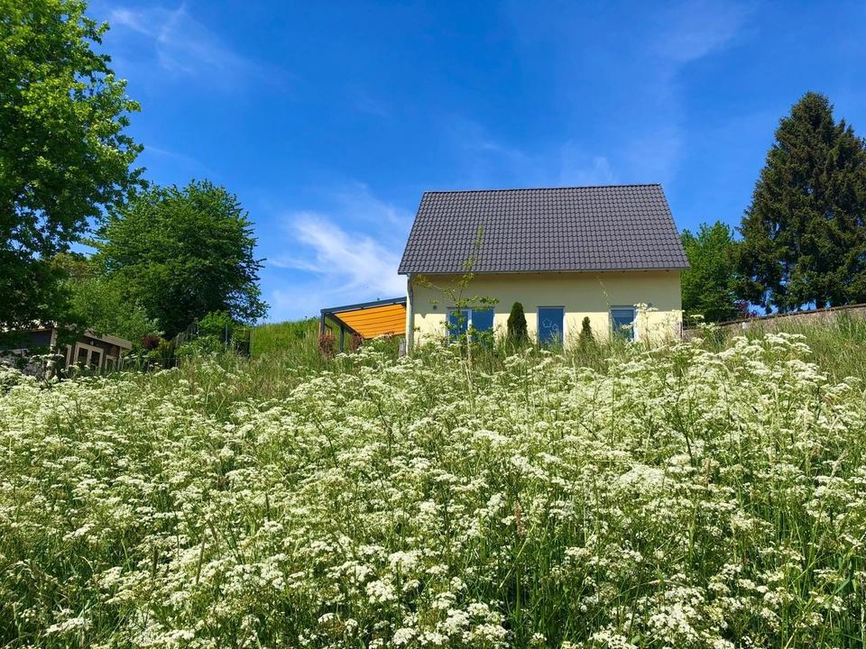 Thumbnail-Modernes Einfamilienhaus in Modautal-Ernsthofen, BJ 2018