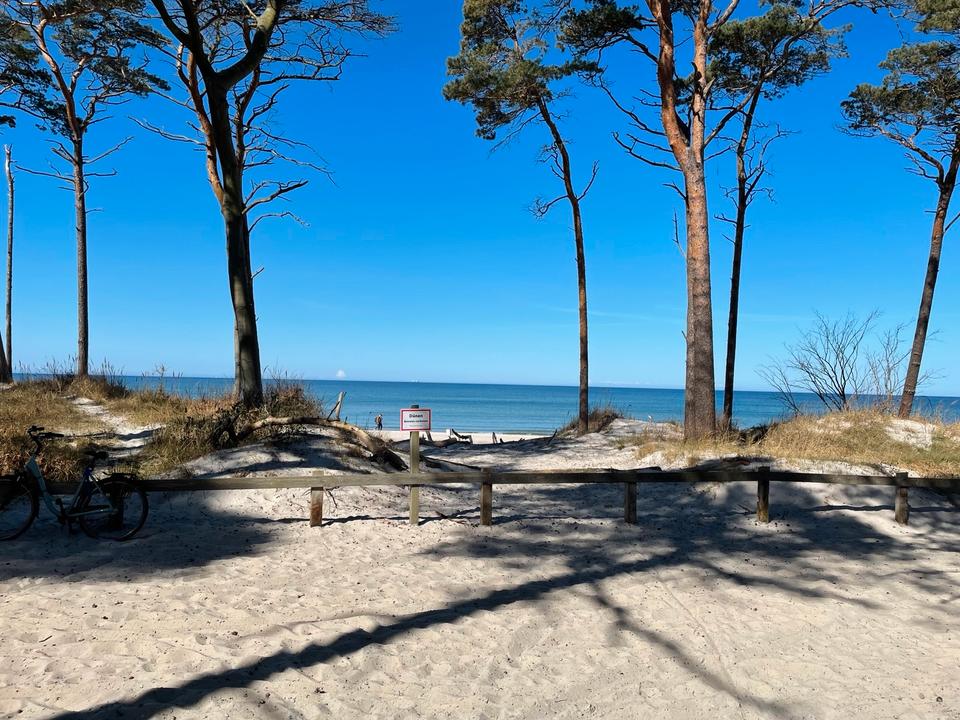 Thumbnail-Top-Investment Ostsee – Haus ca. 900k Wert für ~420k (Nießbrauch)