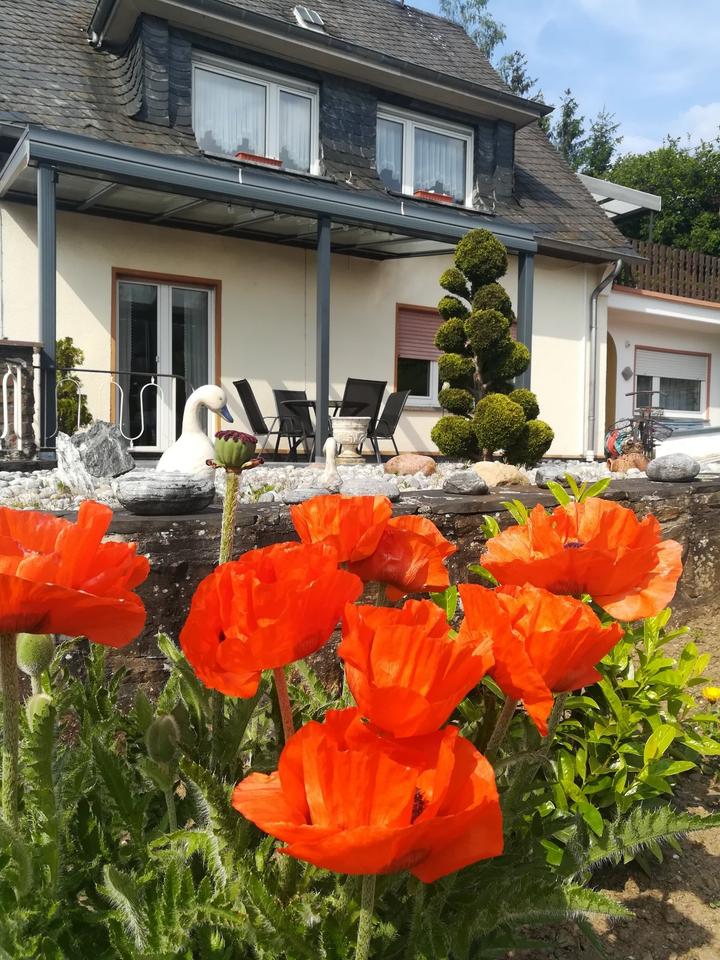 Thumbnail-Zweifamilienhaus in Bullay