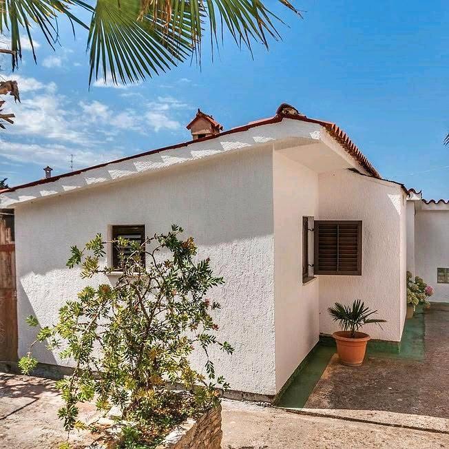 Thumbnail-Haus mit Olivenhein in Medulin