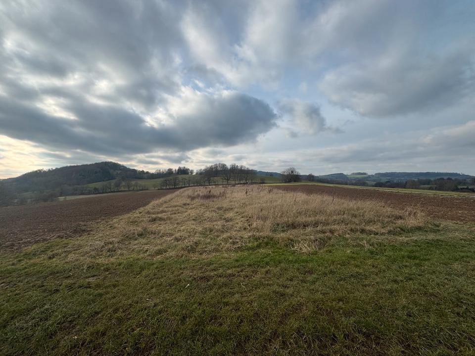 Thumbnail-Grünland in Modautal zu verkaufen
