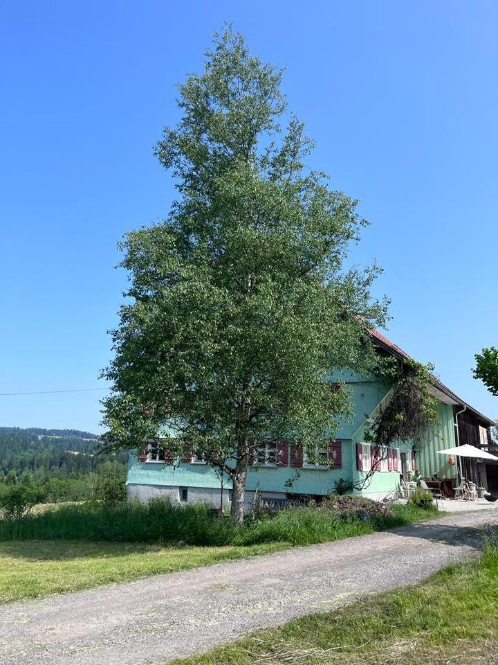 Thumbnail-Teilmöblierte Wohnung zu vermieten