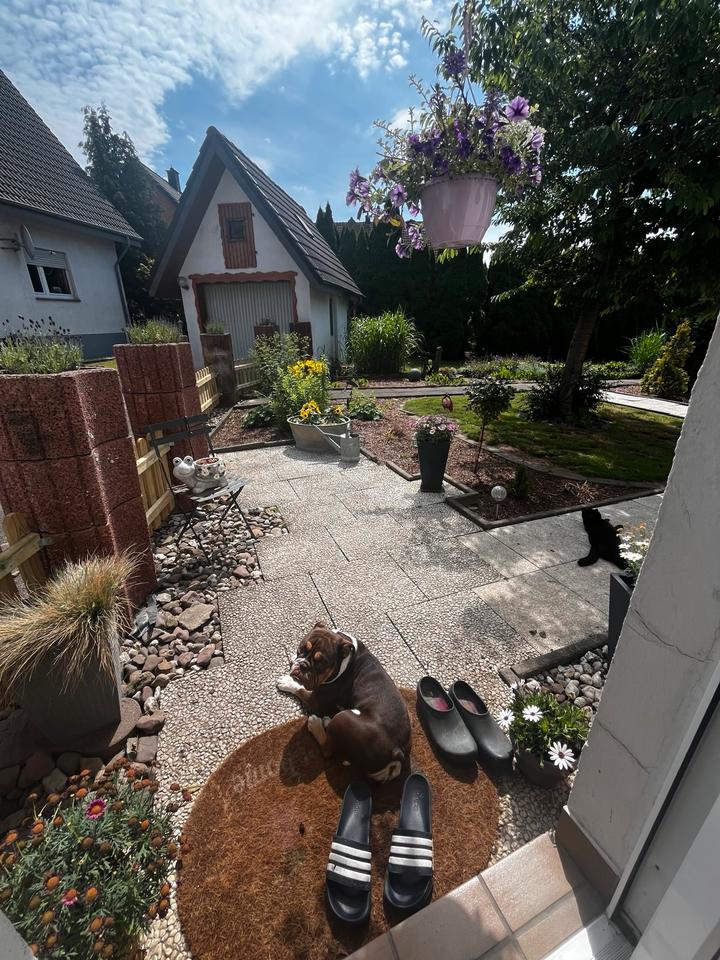 Thumbnail-Wunderschönes kleines Häuschen an tierliebe Einzelperson