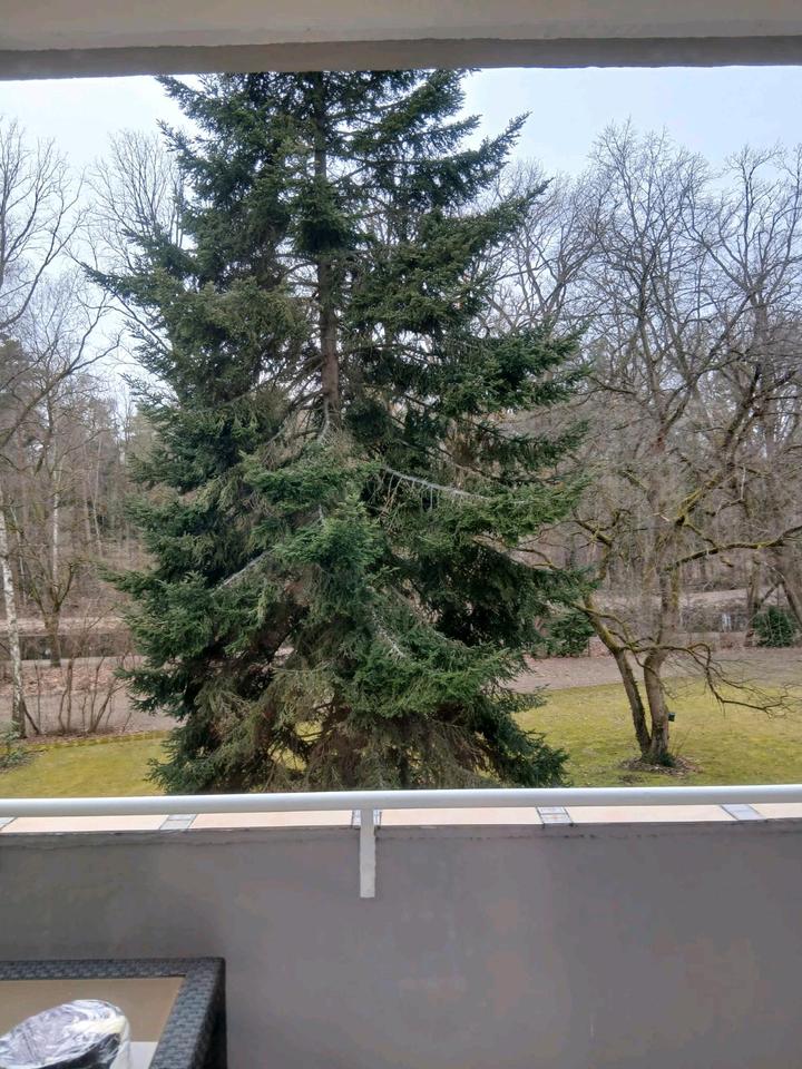 Thumbnail-3 Zimmer Wohnung mit Balkon in Nürnberg Gartenstadt