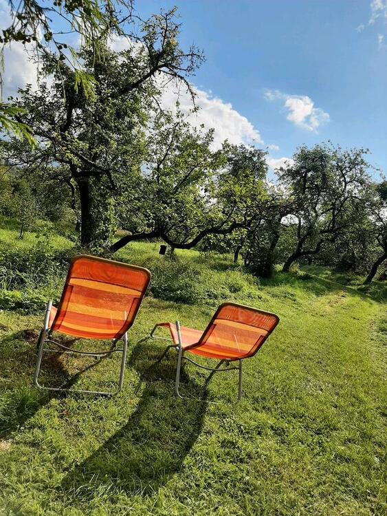 Thumbnail-Ruhiges Ferienhaus in Alleinlage, Nähe Harz, Urlaub mit Hund